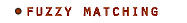 Fuzzy matching
